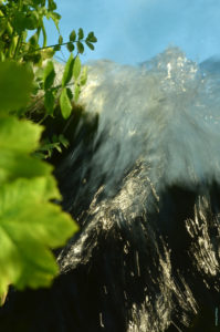 Eau © Bernard Boisson